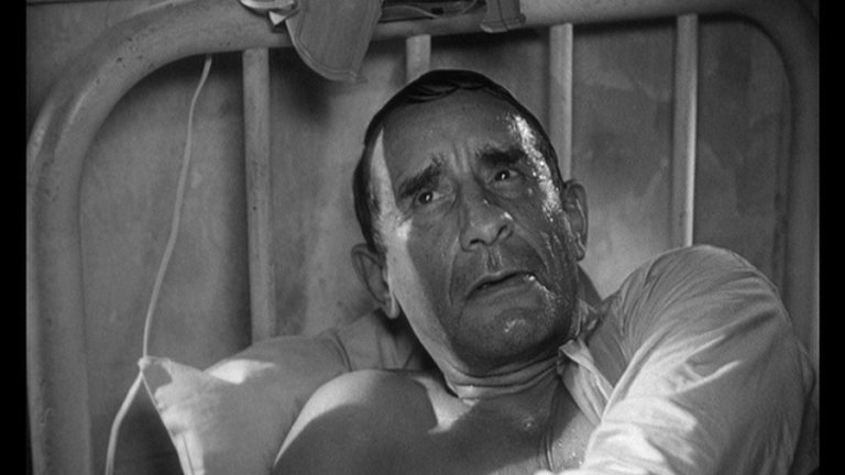 Screen capture from The Fugitive Kind