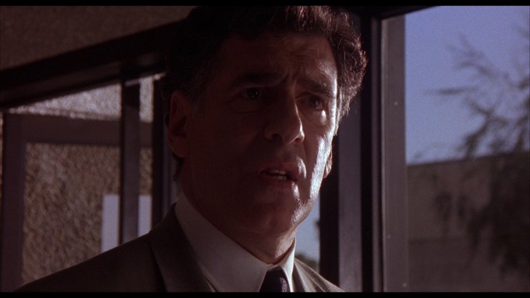 Screen capture from The Glass Shield