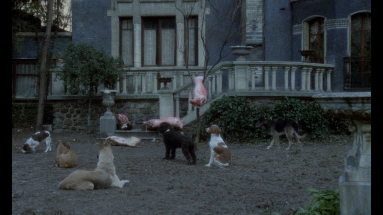 Screen capture from La Grande bouffe