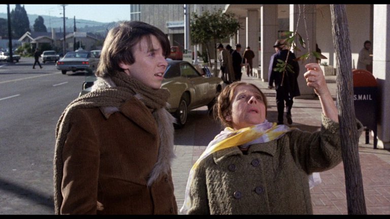 Screen capture from Harold and Maude