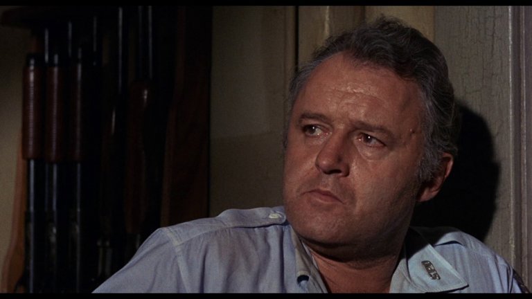 Screen capture from In the Heat of the Night