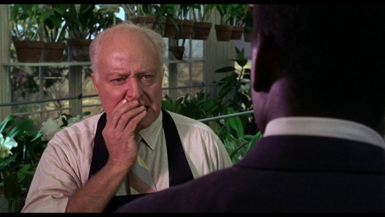 Screen capture from In the Heat of the Night