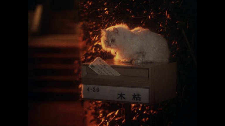 Screen capture from House