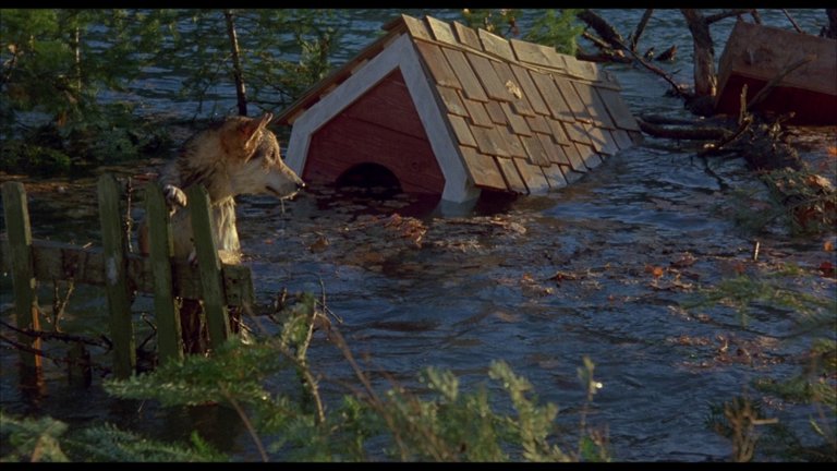 Screen capture from Housekeeping