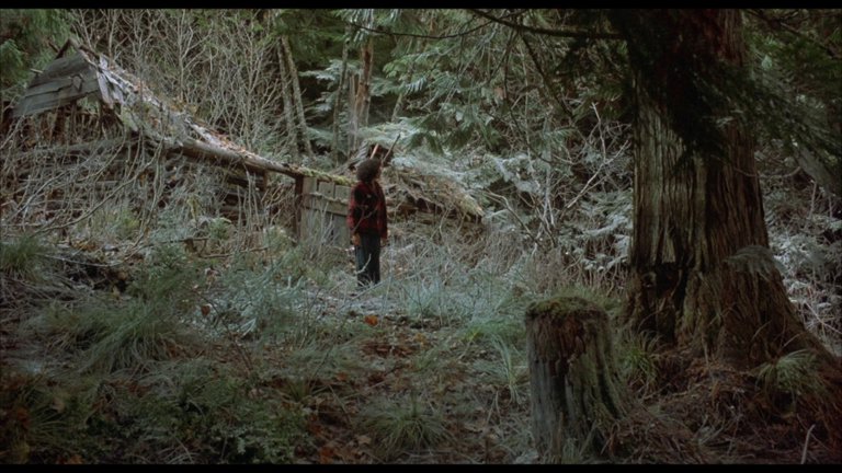 Screen capture from Housekeeping