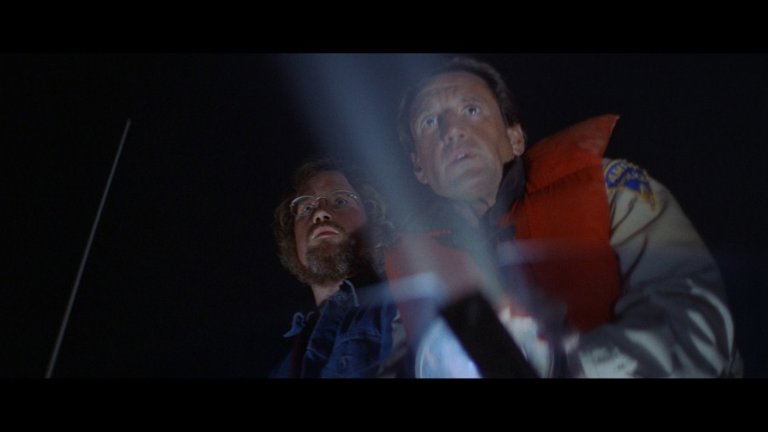 Screen capture from Jaws
