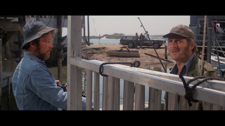 Screen capture from Jaws