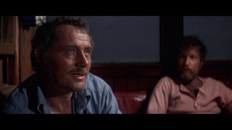 Screen capture from Jaws