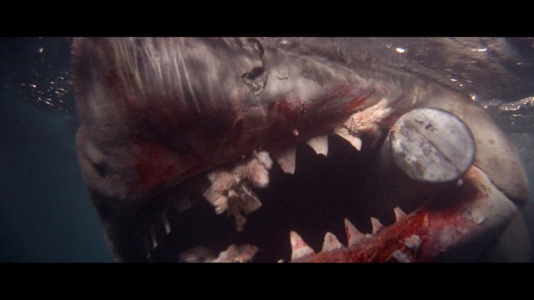 Screen capture from Jaws