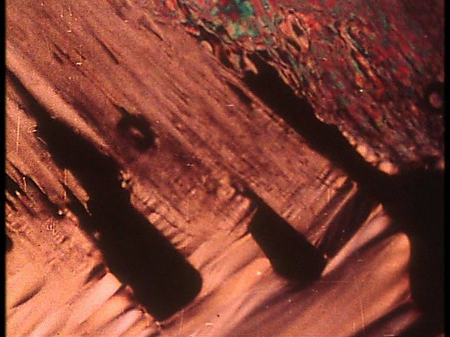 Screen capture from Science Is Fiction: 23 Films by Jean Painlevé