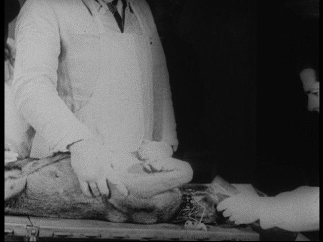 Screen capture from Science Is Fiction: 23 Films by Jean Painlevé