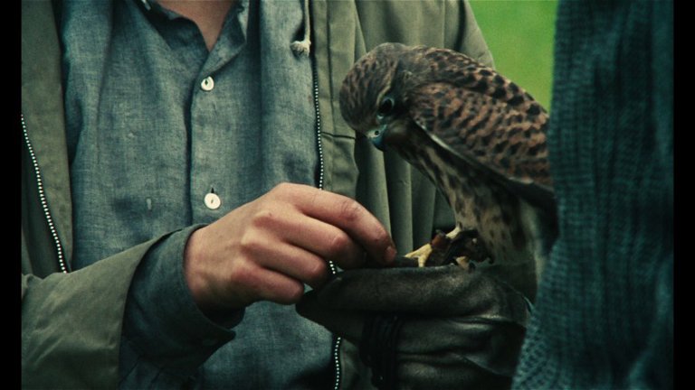 Screen capture from Kes