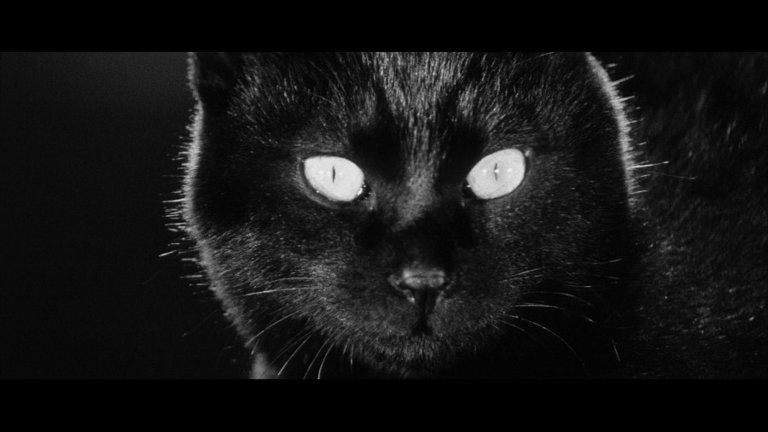 Screen capture from Kuroneko