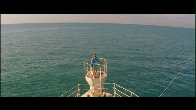 Screen capture from The Life Aquatic with Steve Zissou