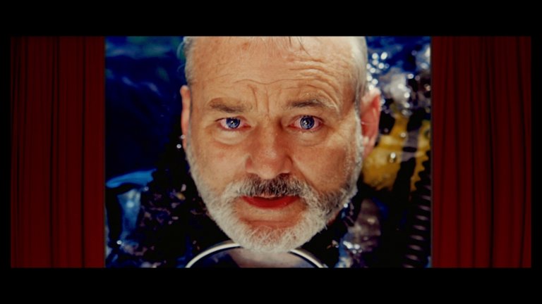 Screen capture from The Life Aquatic with Steve Zissou