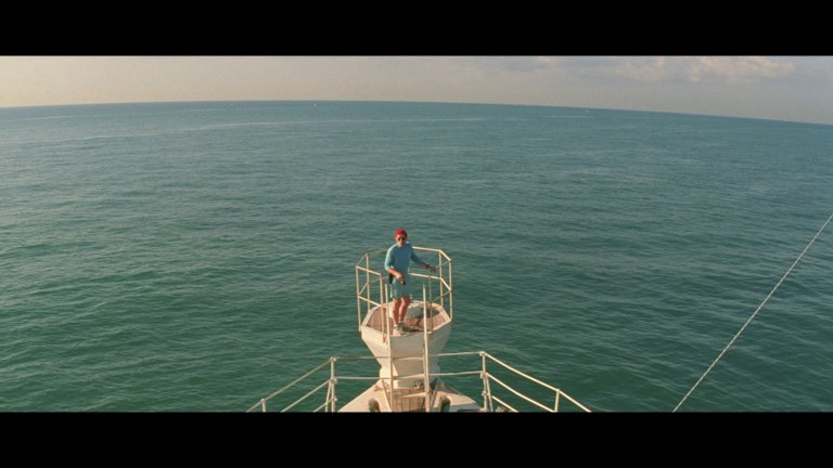 Screen capture from The Life Aquatic with Steve Zissou