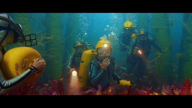 Screen capture from The Life Aquatic with Steve Zissou