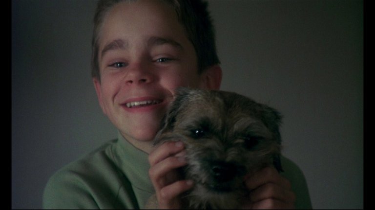 Screen capture from My Life as a Dog