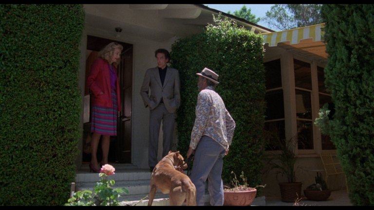 Screen capture from Love Streams
