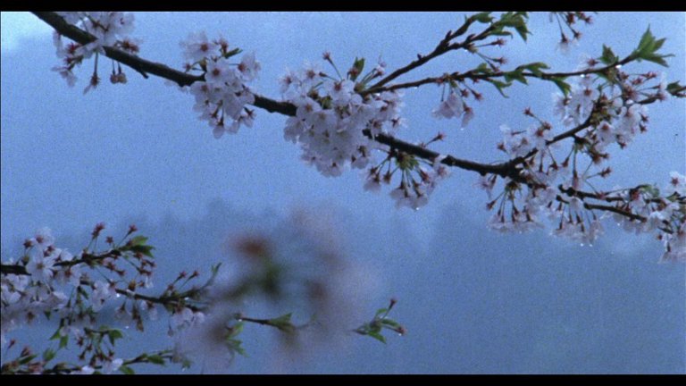 Screen capture from The Makioka Sisters
