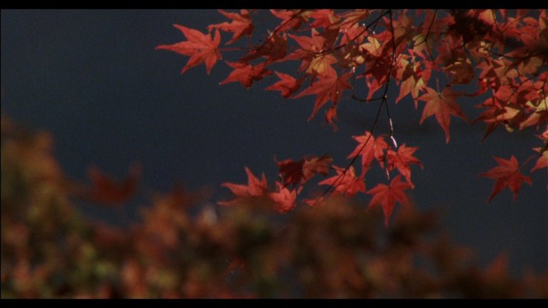 Screen capture from The Makioka Sisters