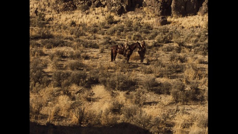 Screen capture from Meek's Cutoff