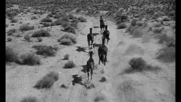 Screen capture from The Misfits
