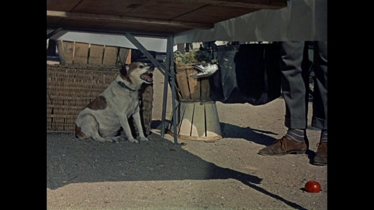 Screen capture from Mon oncle