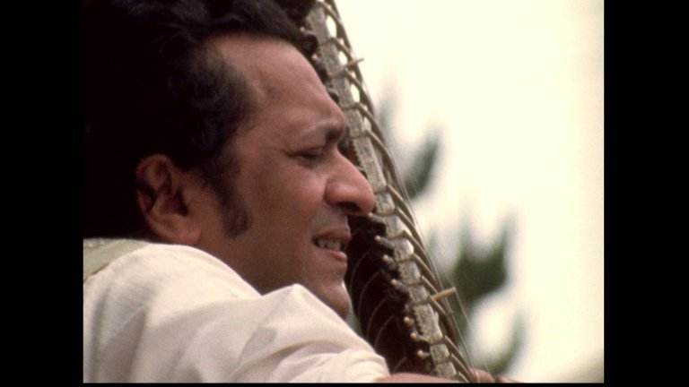 Screen capture from Monterey Pop