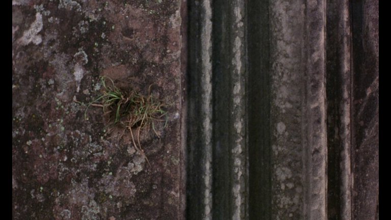 Screen capture from In the Mood for Love