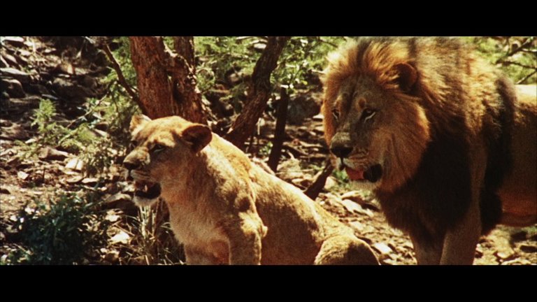 Screen capture from The Naked Prey