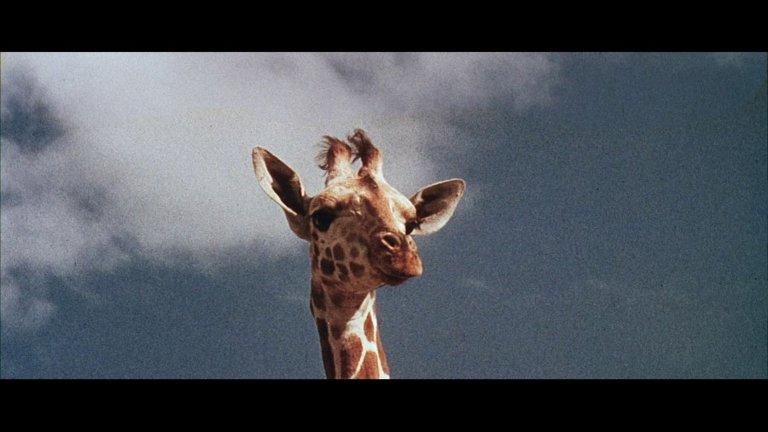 Screen capture from The Naked Prey