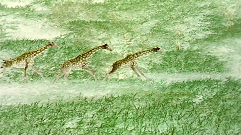 Screen capture from Naqoyqatsi