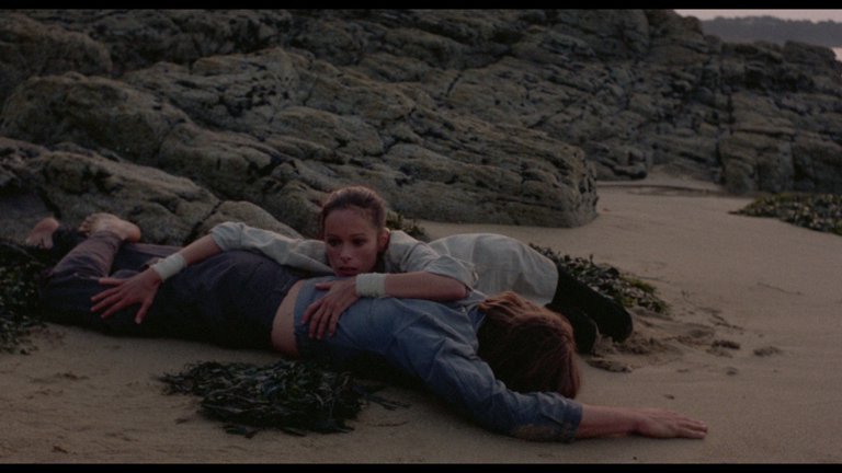 Screen capture from Noroît