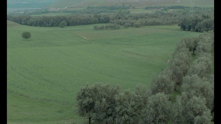 Screen capture from The Koker Trilogy