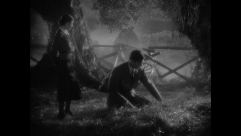 Screen capture from It Happened One Night