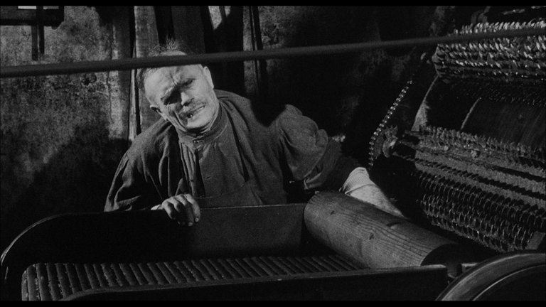 Screen capture from The Organizer