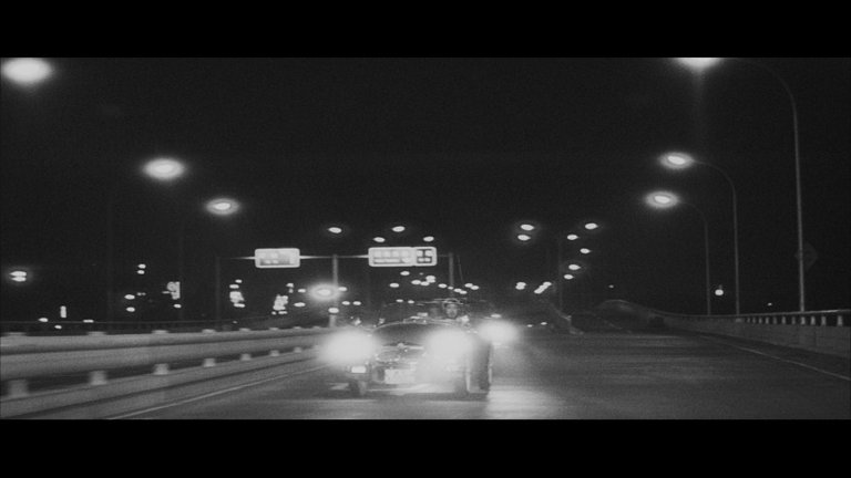 Screen capture from Pale Flower