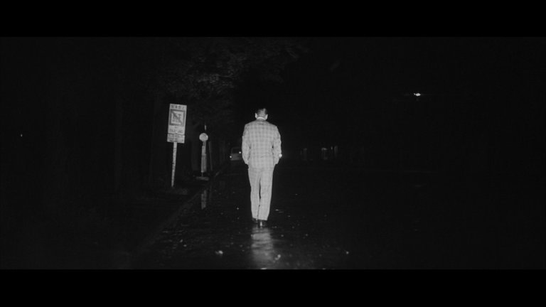 Screen capture from Pale Flower