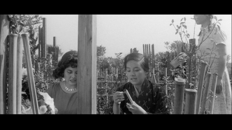 Screen capture from The Insect Woman