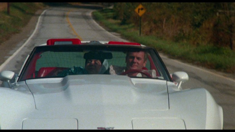 Screen capture from Polyester