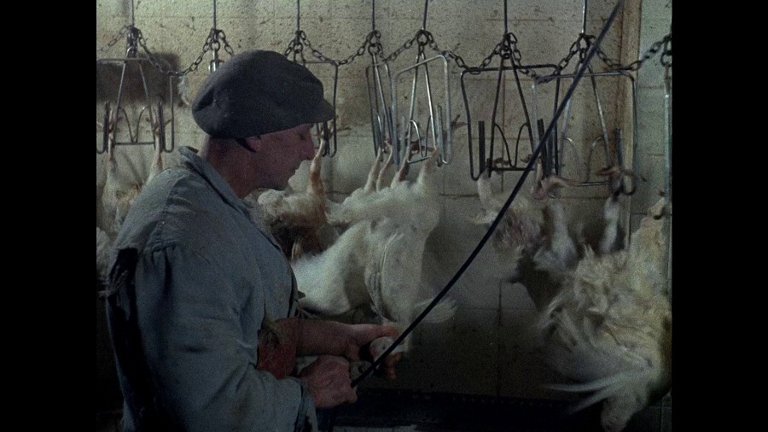 Screen capture from Primitive London