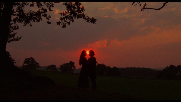 Screen capture from The Princess Bride