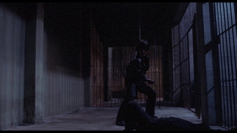 Screen capture from Rage of Honor