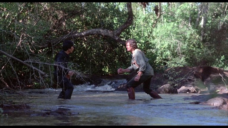 Screen capture from Rage of Honor