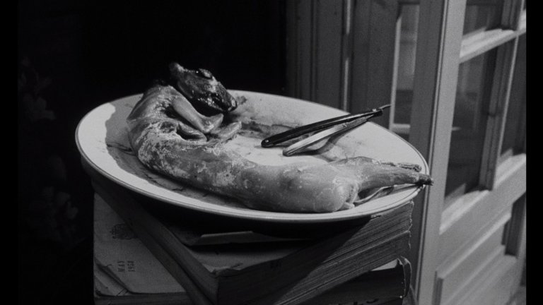 Screen capture from Repulsion