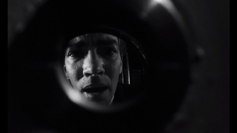 Screen capture from Repulsion