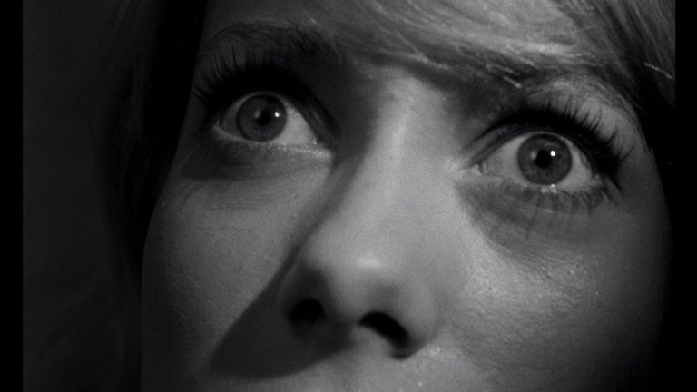 Screen capture from Repulsion
