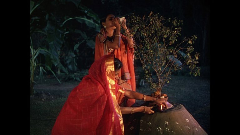 Screen capture from The River