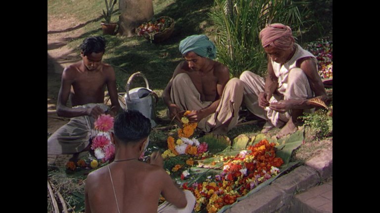 Screen capture from The River